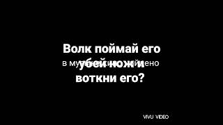 в музыке кино найдено. волк поймай его убей нож и воткни его?