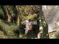 A dreamy cottagecore study playlist for fairies  relaxing harp music  spring ambience