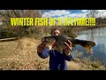 WINTER BASS OF A LIFETIME!!?!!
