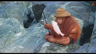orangutan fishing by buskizh 5,381 views 11 months ago 14 seconds