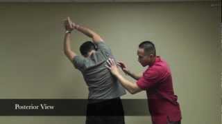 Stretches Side Of Body Latissimus Dorsi