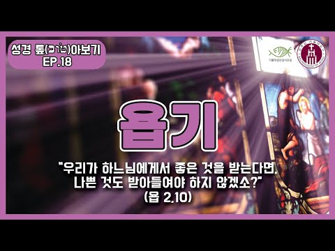영상썸네일