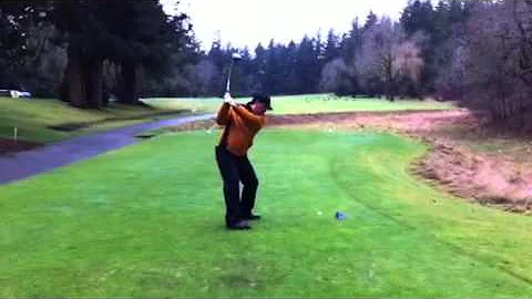 Swing Stan Lowe Jan. 2012