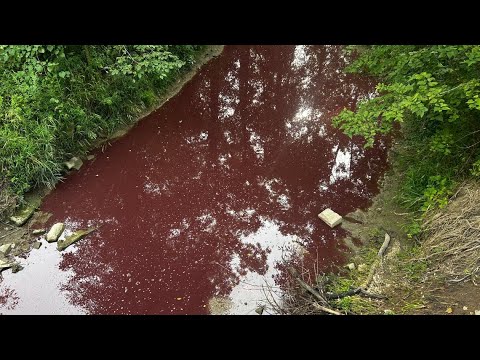 Ohio EPA: Carey creek contamination caused by equipment malfunction at nearby hog farm