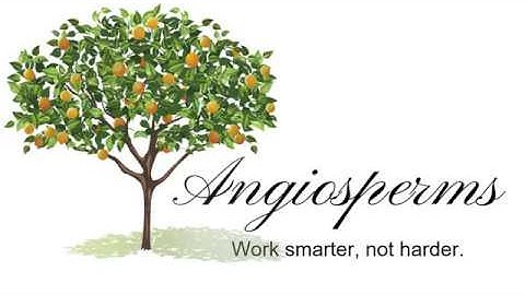 Intro to Angiosperms: Characteristics