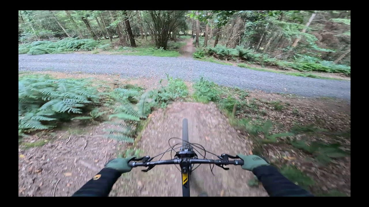 Devils Glen DH Top To Bottom With A Crash!