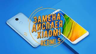 Замена дисплея xiaomi redmi 5