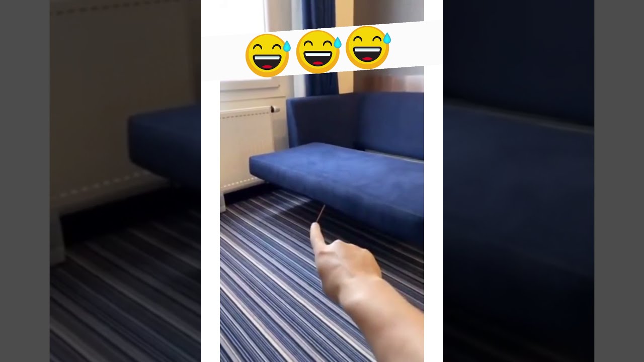 LITTLE DOG JUMP 😅