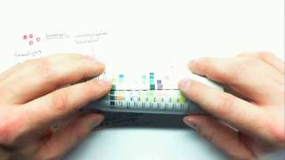 Urinalysis Part 3.mp4