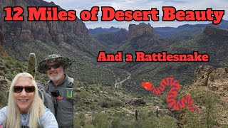Boulder Canyon | Superstition Wilderness | Rattlesnake encounter