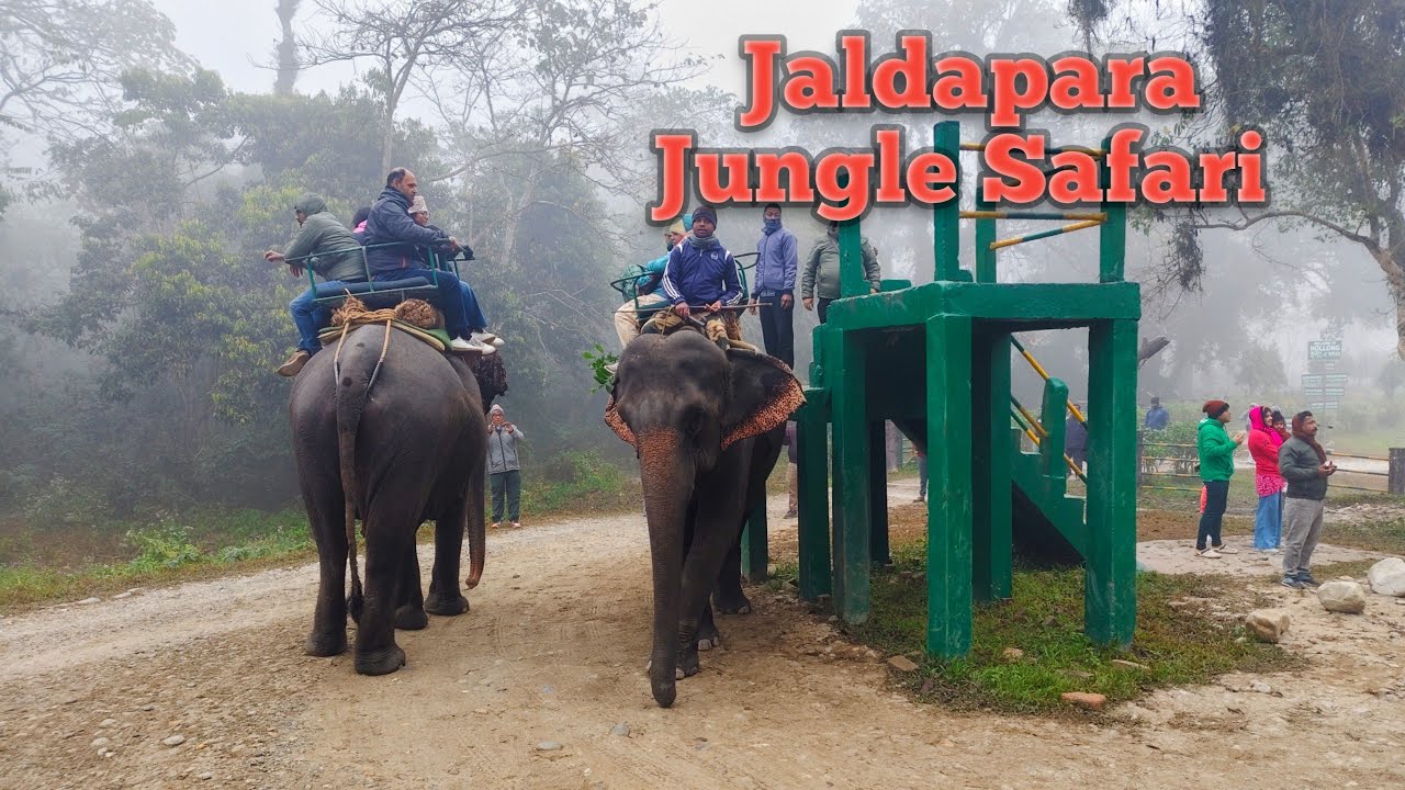 Jaldapara National Park Jungle Safari 
