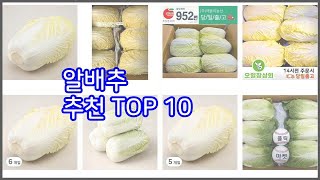 알배추 추천 신중한 소비자를 위한 가격, 품질, 판매량으로 본 상품 TOP 10
