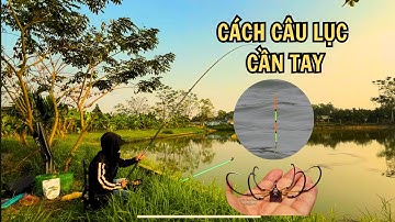 CÂU CÁ Ở AO BỎ HOANG - CÁCH CÂU LỤC ĐẦU CẦN | MT FISHING