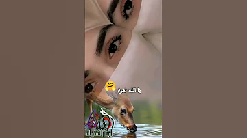 جديد2025الفنان بله اللحوي حالات واتساب حالة نادره اوتار الشبيك 