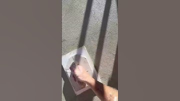 Sponge Finish Render 🔥 #work #diy #pov #satisfying #plastering #construction #renovation