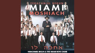 Revach - Miami