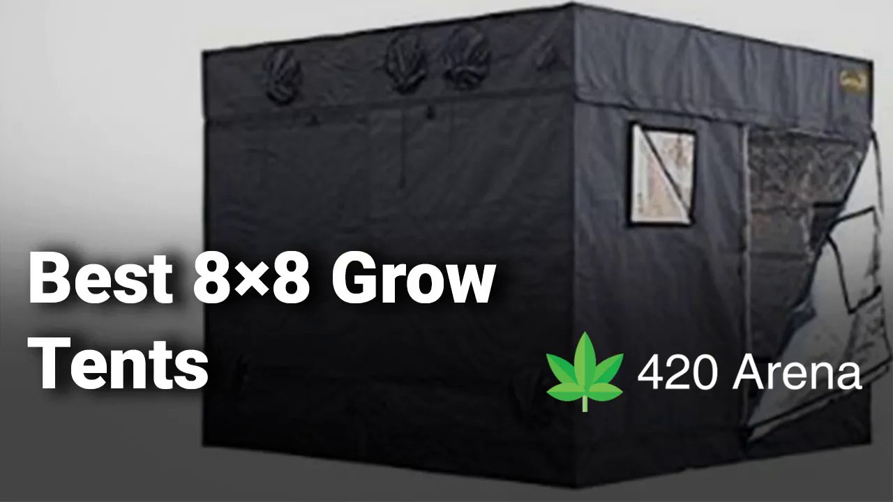 Best 8×8 Grow Tents Complete List with Features & Details 2019 YouTube