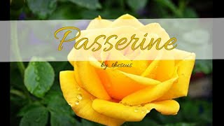Passerine Chapter 7 Part 1