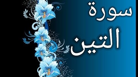 أحلى حالة واتس سورة التين