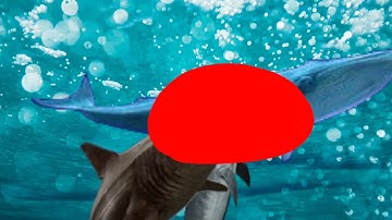 The Meg And Mosasaurus Maximus Hunt Blue Whale Finding Nemo