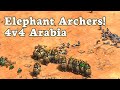 4v4 Arabia | Elephant Archers!