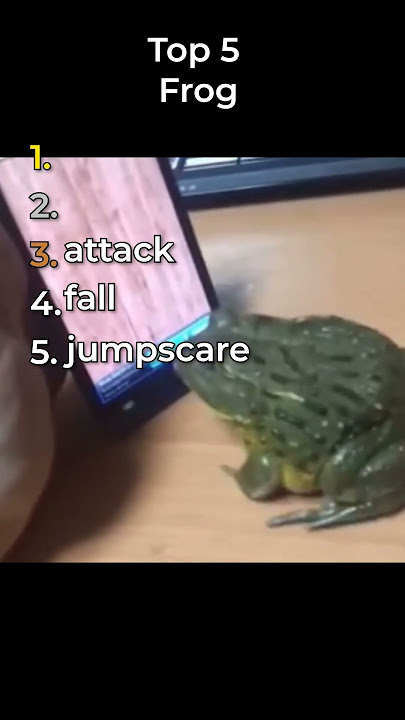 the best frog clips in the world