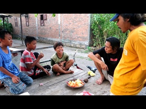 Kocak! Makan Rujak Bareng Bocil Gak Hafal Doa Makan | Manuke wedangen hahaha