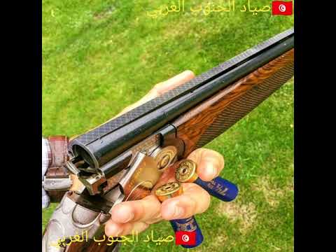 مختار الغزولي انت الكل في الكل