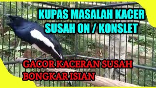 MENGATASI KACER SUSAH ON