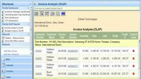 Priority ERP and Business Intelligence - Demo.wmv