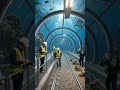 🪸 From rusty tracks to high-speed luxury deep beneath the waves.✨ #Restoration #Architectur#amazing