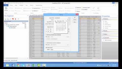 IDEA Accounts Receivable Project