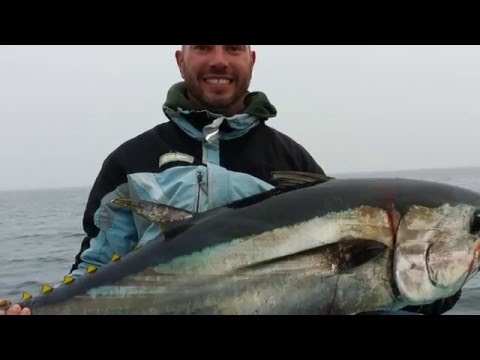 tonno rosso a spinning venezia split ring