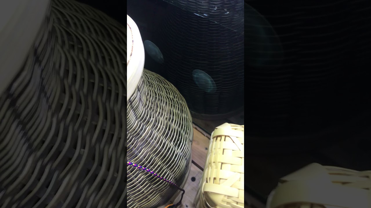 Kepis Bambu Seniniman