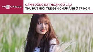 Cánh đồng cỏ lau thu hút giới trẻ đến chụp ảnh ở TP HCM| VnExpress Trendy