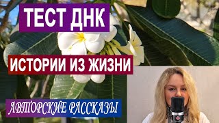 Свекровь, невестка и тест ДНК. - Авторская история из жизни.