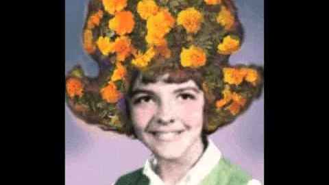 Cindy Zimmerman Bouffant Vision