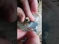 Potter wasp reveal @EffortForever