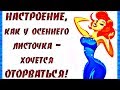 Как ДЕЛА? Как у ТРУСОВ... ВЕСЕЛЫЙ женский юмор.