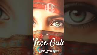 Neçe Gule kurdish trap-remix #trap #remix #zimanêkurdî #kürt #aboneolun #kurdish Resimi