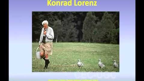 Child Development : Principles and Stages