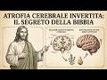7 erbe bibliche in grado di invertire l'atrofia cerebrale