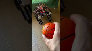 All the functionalities of my robot dog #arduino #robot #robotics #dog #raspberrypi #huskylens