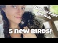 Getting New Birds! | Farm Life VLOG