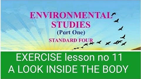 CLASS 4  SCIENCE LESSON NO 11 A LOOK INSIDE THE BODY