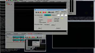 Screen capture via very old Linux NLE - Broadcast2000