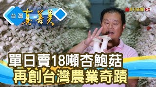 年賣億元的“杏鮑菇大王”【台灣真善美】2019.09.22