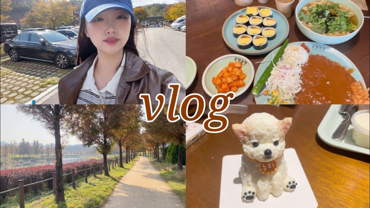 가을가을한 가을(김밥축제인데 김밥못먹은건에 대해서,누리야 생일축하해💓,돌잔치준비)