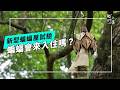 從沒看過這樣的蝙蝠屋，蝙蝠願意入住嗎？(公視我們的島 第1360集 2026-06-01)