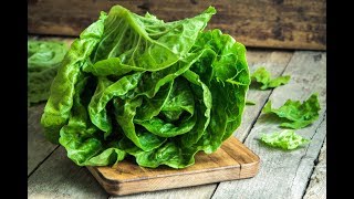 Full This animal, and its poop, is being blamed for a massive romaine lettuce E. coli outbreak Update